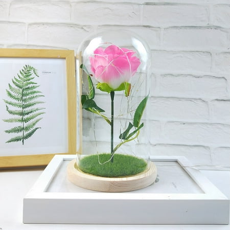 Mortilo funny Office supplies Home Kitchen Romantic Immortal Flower Micro Landscape Rose Simulation Glass Shade Led Llight class Pink
Mortilo funny Office supplies Home Kitchen Romantic Immortal Flower Micro Landscape Rose Simulation Glass Shade Led Llight class Pink
