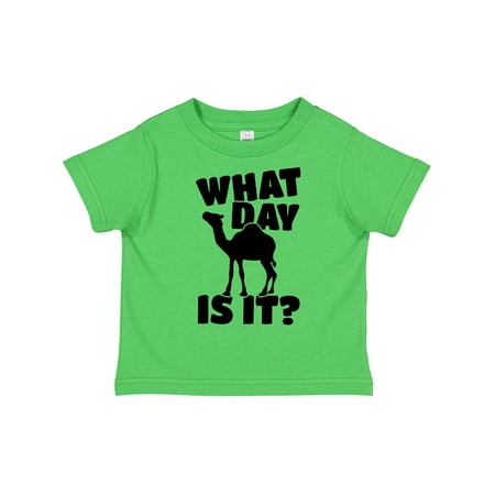 Inktastic What Day is It Camel Gift Toddler Boy or Toddler Girl T-Shirt