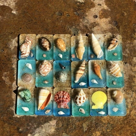YehailoRefrigerator Stickers Fridge Magnet Home Art Sea Crafts Fridge Decorations Ocean 3D Seashells Art Decor Fridge Magnet For Fridge Art Decor Clearance!Household Stickers
YehailoRefrigerator Stickers Fridge Magnet Home Art Sea Crafts Fridge Decorations Ocean 3D Seashells Art Decor Fridge Magnet For Fridge Art Decor Clearance!Household Stickers