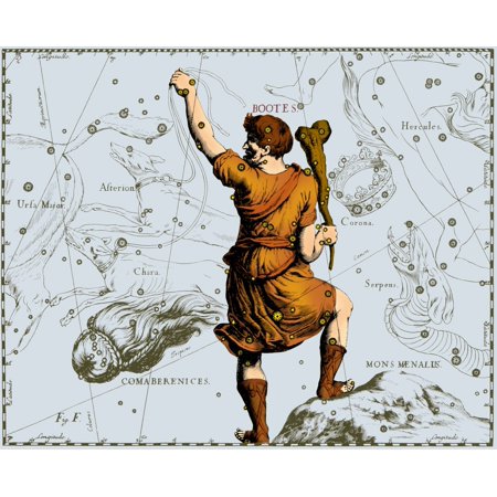 Bootes Constellation 1687 Rolled Canvas Art - Science Source (36 x 24)