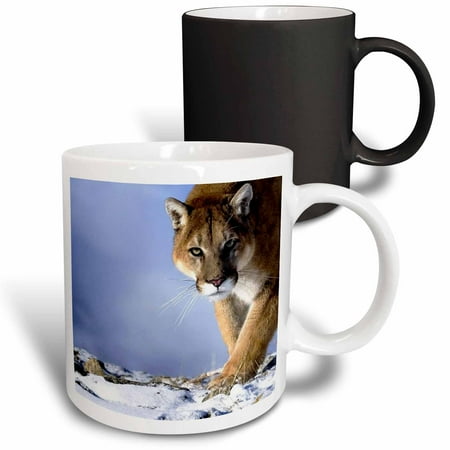 3dRose Cougar Magic Transforming Mug 11oz