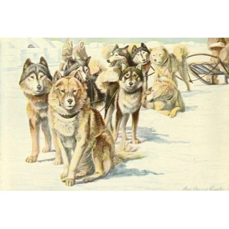 Book of Dogs 1919 Alaskan Eskimo Dogs Stretched Canvas - Louis Agassiz Fuertes (24 x 36)