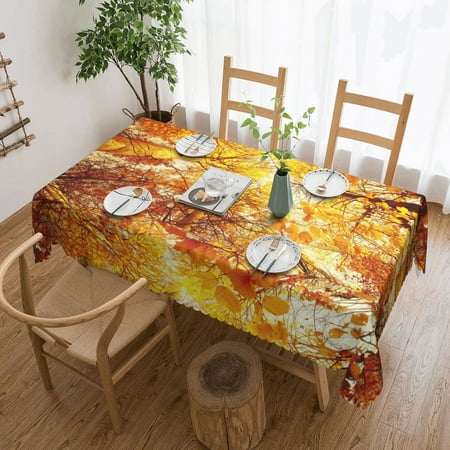 Tablecloth Autumn Forest And Golden Leaves Table Cloth For Rectangle Tables Waterproof Resistant Picnic Table Covers For Kitchen Dining/Party(54x72in)
Tablecloth Autumn Forest And Golden Leaves Table Cloth For Rectangle Tables Waterproof Resistant Picnic Table Covers For Kitchen Dining/Party(54x72in)
