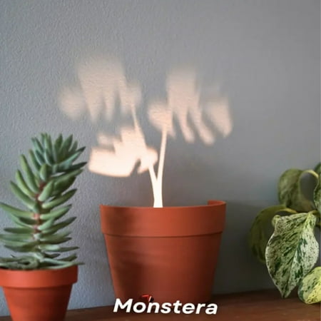 Hallowee Sale Home & Garden Night Lights Plant Pot Lights Botanical Projection Lighting Boho Plant Decor Indoor Plant Decor Unique Night Light Indoor Lighting Room Vibe Light,by LuClweCe
Hallowee Sale Home & Garden Night Lights Plant Pot Lights Botanical Projection Lighting Boho Plant Decor Indoor Plant Decor Unique Night Light Indoor Lighting Room Vibe Light,by LuClweCe
