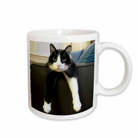 Black and White Cat with Nothing to Do 11oz Mug mug-23450-1