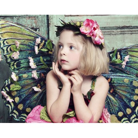 Beautiful Fairy 3-LIZZER105775 Print 11"x14" by Liz Zernich in a Un (Canvas Only)