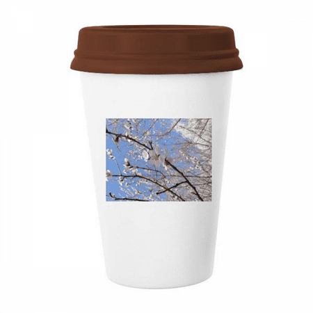 Cherry Blossom Branch Photography Mug Coffee Drinking Glass Pottery Cerac Cup Lid
Cherry Blossom Branch Photography Mug Coffee Drinking Glass Pottery Cerac Cup Lid