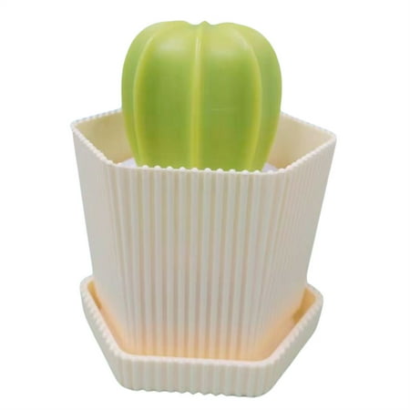 Cactus Dish Scrubber with Handle Dishes Brush with Detachable Nano Cleaning Ball Cactus Brushes Scrubber for Cleaning Dish Pot Pan Kitchen Sink Tool
Cactus Dish Scrubber with Handle Dishes Brush with Detachable Nano Cleaning Ball Cactus Brushes Scrubber for Cleaning Dish Pot Pan Kitchen Sink Tool