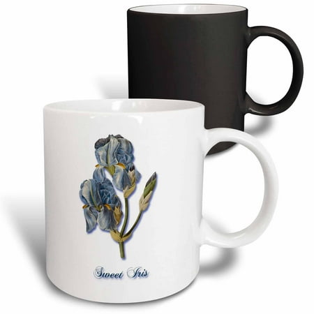 3dRose Sweet Iris Botanical Print of a Light Blue Bearded Iris Magic Transforming Mug 11oz
3dRose Sweet Iris Botanical Print of a Light Blue Bearded Iris Magic Transforming Mug 11oz