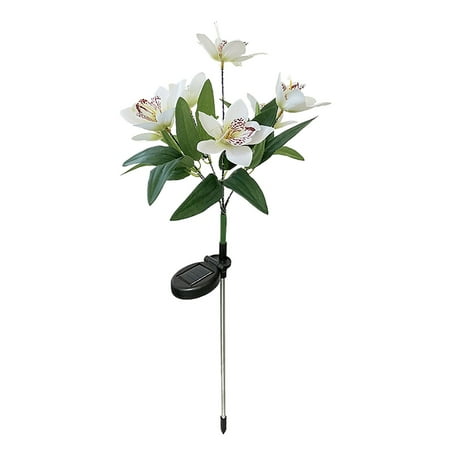 XunRui Garden Lamps Solar Lily//Orchid Lamp Outdoor Garden Patio Lamp ABS For Indoor Or Outdoor Decoration Beautiful Suitable For Outdoor People
XunRui Garden Lamps Solar Lily//Orchid Lamp Outdoor Garden Patio Lamp ABS For Indoor Or Outdoor Decoration Beautiful Suitable For Outdoor People