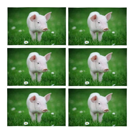 MKHERT Young Pig On A Spring Green Grass Cute Animal Placemats Table Mats for Dining Room Kitchen Table Decoration 12x18 inch Set of 6
MKHERT Young Pig On A Spring Green Grass Cute Animal Placemats Table Mats for Dining Room Kitchen Table Decoration 12x18 inch Set of 6