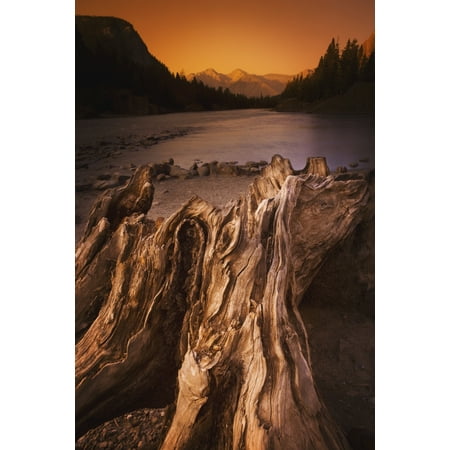 Banff Alberta Canada Driftwood And A Mountain River At Sunset Canvas Art - Darren Greenwood Design Pics (12 x 19)