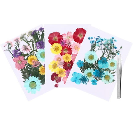 FRCOLOR 1 Set/4pcs DIY Natural Dried Flowers Charms Pressed Flowers with Tweezers