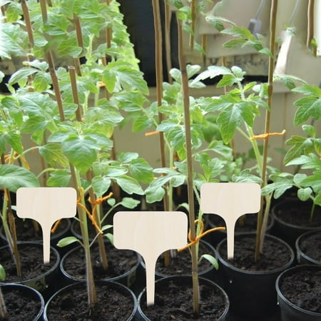 WQQZJJ Home Decor Clearance Wooden Sign Creative Gardening Plant Label Can Write Insert Ground 10PCS On Deals
WQQZJJ Home Decor Clearance Wooden Sign Creative Gardening Plant Label Can Write Insert Ground 10PCS On Deals