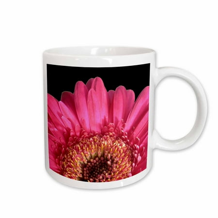 3dRose Hot Pink flower macro Contemporary gerbera Girly floral photography on black Stylish modern elegant Ceramic Mug 15-ounce
3dRose Hot Pink flower macro Contemporary gerbera Girly floral photography on black Stylish modern elegant Ceramic Mug 15-ounce