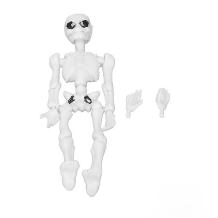 Human Body Skeleton Model Safe Plastic Eco Friendly Abrasion Skeleton Model For Library
Human Body Skeleton Model Safe Plastic Eco Friendly Abrasion Skeleton Model For Library