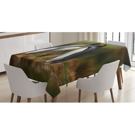Animal Tablecloth Penguin Couple Cuddling in Wild Nature Love Affection Romance Falkland Islands Fauna Rectangular Table Cover for Dining Room Kitchen 60 X 84 Inches Multicolor by Ambesonne
Animal Tablecloth Penguin Couple Cuddling in Wild Nature Love Affection Romance Falkland Islands Fauna Rectangular Table Cover for Dining Room Kitchen 60 X 84 Inches Multicolor by Ambesonne