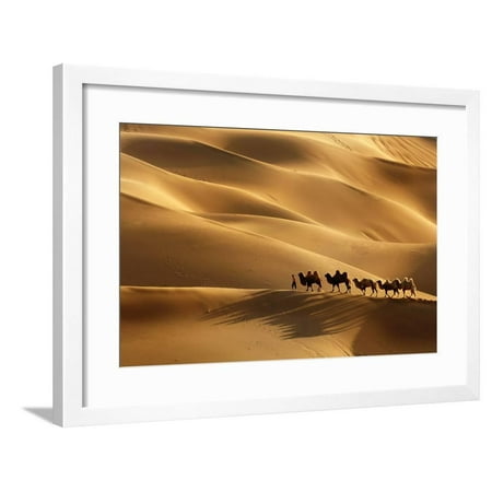 The Camel Walk in Kumtag Desert Framed Print Wall Art By LU JINRONG
