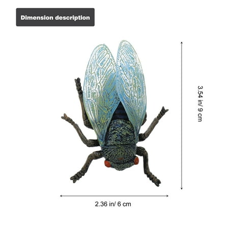 1 Set/4pcs Simulation Cicada Growth Cycle Ornaments Display Models for Kids