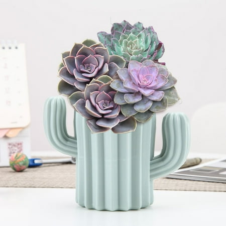 Xinwanna Plastic Cactus Shaped Vase Dried Flower Pot Holder Home Office Desktop Decor
Xinwanna Plastic Cactus Shaped Vase Dried Flower Pot Holder Home Office Desktop Decor