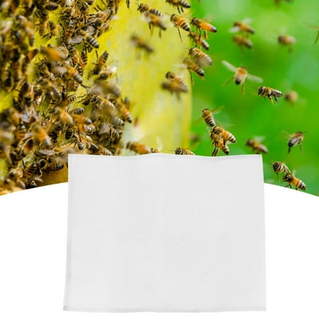 Beekeeping Tools Beehive Comb Gauze Mesh Stainless Steel Beehive Gauzes Beekeeping Equipment Beehive
Beekeeping Tools Beehive Comb Gauze Mesh Stainless Steel Beehive Gauzes Beekeeping Equipment Beehive