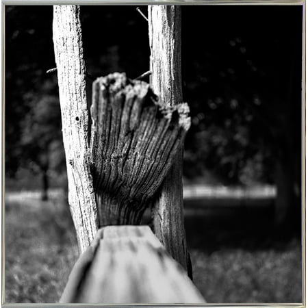 Split Rail Stump-HARTRE53492 Print 11.5"x11.5" by Harold Silverman - Trees & Old Fences in a Silver Metal Frame