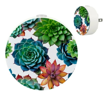YZUOUZY Lamp for Bedroom Lamps for Bedroom Small Bedside Lamps Set of 2 Succulent Flowers Plants Colorful
YZUOUZY Lamp for Bedroom Lamps for Bedroom Small Bedside Lamps Set of 2 Succulent Flowers Plants Colorful