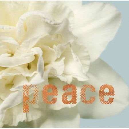 Peace Blossom Rolled Canvas Art - Julie Greenwood (12 x 12)