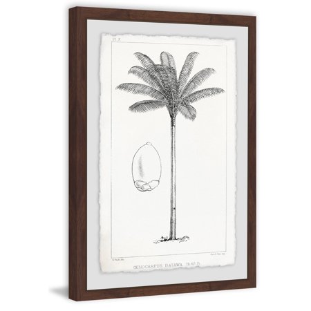 Marmont Hill MH-VINBOT-86-DWFPFL-36 Gray 36" X 24" "Amazon Palm Tree" Framed Giclee