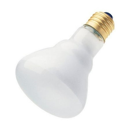 3686100 55W Reflector Floodlight in Frosted