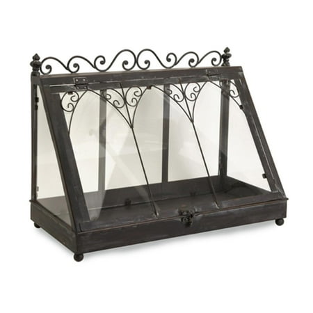 Elegant Clear Glass Tabletop Terrarium with Hinged Door 19