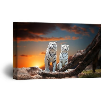 wall26 Canvas Wall Art - Two White Tigers in The Wild at Sunset Time - Giclee Print Gallery Wrap Modern Home Decor Ready to Hang - 32x48 inches