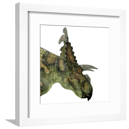 Albertaceratops Dinosaur Head Framed Print Wall Art By Stocktrek Images