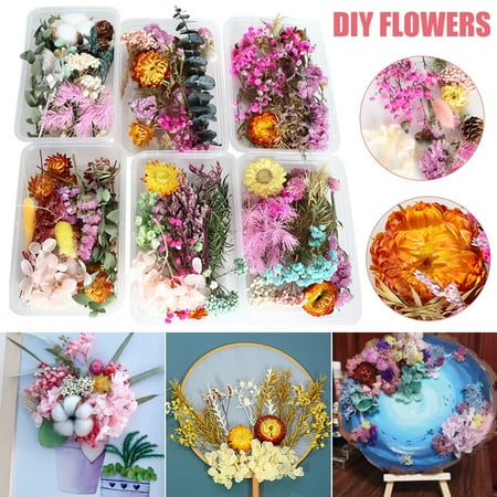 Real Dried Flower Plants For Diy Accessories Multiple Floral Material For Aromatherapy Candle Resin Pendant Making Craft New
Real Dried Flower Plants For Diy Accessories Multiple Floral Material For Aromatherapy Candle Resin Pendant Making Craft New