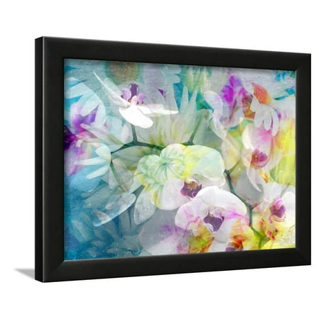 A Floral Montage with White Orchids and Multicolor Dahlia Framed Print Wall Art By Alaya Gadeh