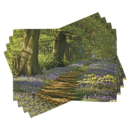 Woodland Placemats Set of 4 A Carpet of Bluebells Spreads through Woodland in Staffordshire England Washable Fabric Place Mats for Dining Room Kitchen Table Decor Green Purple Brown by Ambesonne
Woodland Placemats Set of 4 A Carpet of Bluebells Spreads through Woodland in Staffordshire England Washable Fabric Place Mats for Dining Room Kitchen Table Decor Green Purple Brown by Ambesonne