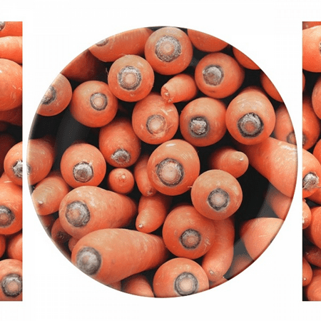 Fresh Vagetable Carrots Picture Photography Plate Decorative Porcelain Salver Tableware Dinner Dish