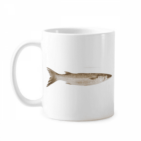 Ocean Fish Fresh Activity Mug Pottery Cerac Coffee Porcelain Cup Tableware
