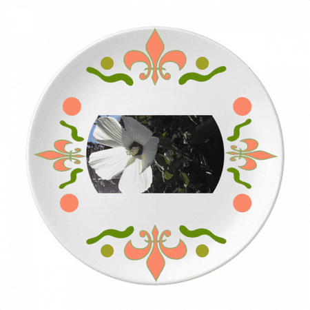 White Daizy Photography Culture Flower Ceramics Plate Tableware Dinner Dish