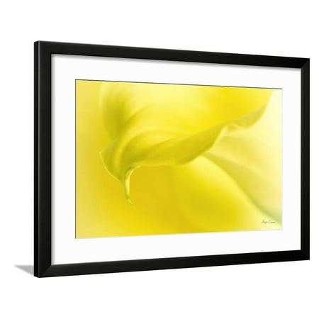 Yellow Calla Framed Print Wall Art By Angela Cameron
