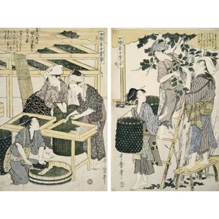 Silk-Worm Culture By Women Canvas Art - Kitagawa Utamaro (18 x 24)
