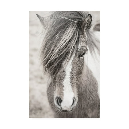 Trademark Fine Art 'Elska II BW' Canvas Art by Laura Marshall