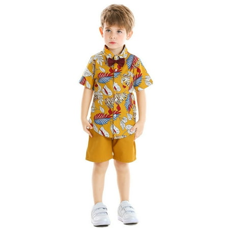 RPVATI Infant Baby Toddler Child Children Kids Clothes Short Sleeve Shirts Shorts 2 Pieces Summer Outfits
RPVATI Infant Baby Toddler Child Children Kids Clothes Short Sleeve Shirts Shorts 2 Pieces Summer Outfits