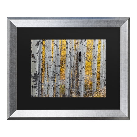 Trademark Fine Art 'Aspen Trees' Canvas Art by Pierre Leclerc