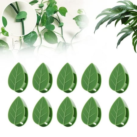 Pmars Securing Clip 100Pcs Plant Climbing Wall Fixture Clips Plastic Plant Clips Climbing Plant Wall Clips for Vines Plant Support Clips Plant Vine Wall Clips Plant Fixture Clips Vine Holder
Pmars Securing Clip 100Pcs Plant Climbing Wall Fixture Clips Plastic Plant Clips Climbing Plant Wall Clips for Vines Plant Support Clips Plant Vine Wall Clips Plant Fixture Clips Vine Holder