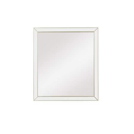 Acme Voeville II Wooden Frame Mirror in Champagne