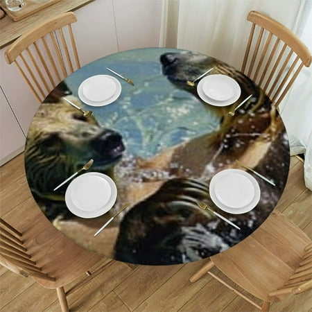 Sloth Art Circle Washable Table Clothes Cover Tablecloth for Dining Table Home Decor
Sloth Art Circle Washable Table Clothes Cover Tablecloth for Dining Table Home Decor