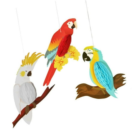 YUEHAO Bird Feeders Parrot Honeycomb Three-Piece Ceiling Window Pendant Holiday Party Decoration Charm Set of Multicolor
YUEHAO Bird Feeders Parrot Honeycomb Three-Piece Ceiling Window Pendant Holiday Party Decoration Charm Set of Multicolor