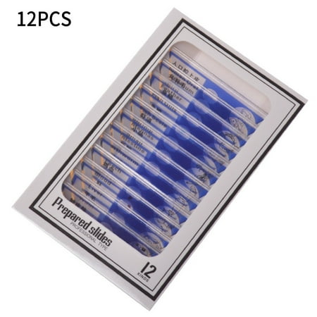 12PCS Microscope Prepared Slides Insects Plant Animal Specimen Plastic for Kids
12PCS Microscope Prepared Slides Insects Plant Animal Specimen Plastic for Kids