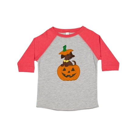 Inktastic Halloween Dachshund Pumpkin Gift Toddler Boy or Toddler Girl T-Shirt
Inktastic Halloween Dachshund Pumpkin Gift Toddler Boy or Toddler Girl T-Shirt